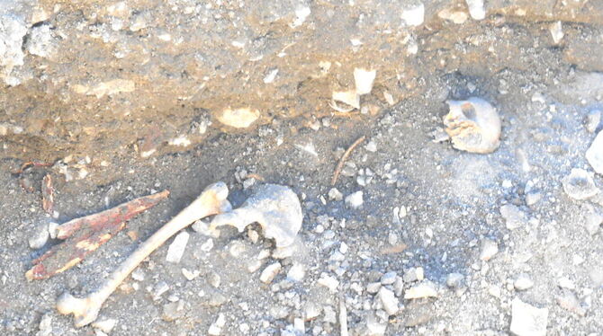 Im Oberen Brunnengarten wurde das Skelett einer Frau mit Baby oder Fötus gefunden. Auch die Reste des Holzsargs wurden entdeckt.