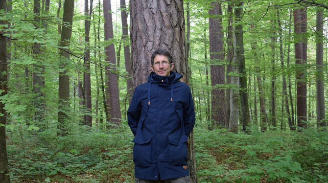 Zweites Zuhause: Stefan Machura verbringt fast jeden Tag Zeit im Wald. FOTO: HAILFINGER