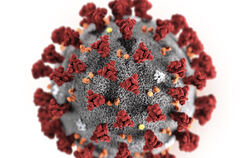 Coronavirus, Lungenkrankheit, Illustration