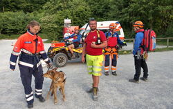 Rettungshundestaffeln aus der ganzen Region, Bergwacht, DRK und Polizei waren im Einsatz.