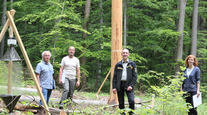 Auf einem der Experimentierfelder beim Gestütshof St. Johann stehen (von links) Manfred Ayasse, Jörg Hailer, Matthias Kiess und