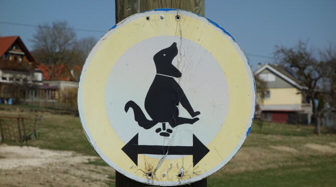 Für kluge Hunde und rücksichtsvolle Halter.