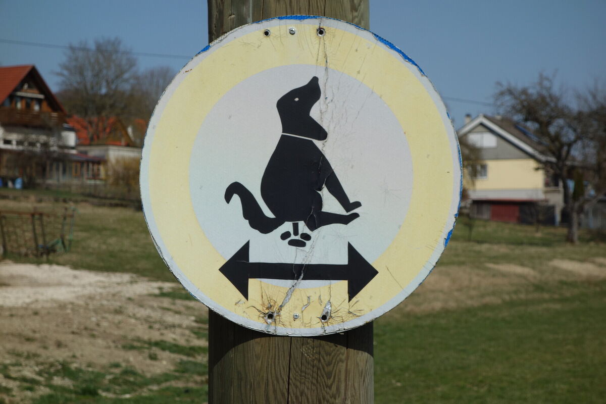 Für kluge Hunde und rücksichtsvolle Halter.