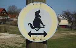 Für kluge Hunde und rücksichtsvolle Halter.