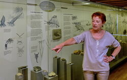 Die Leiterin des Naturkundemuseums, Barbara Karwatzki, zeigt spannende Schaustücke aus aller Welt.  FOTOS: NIETHAMMER