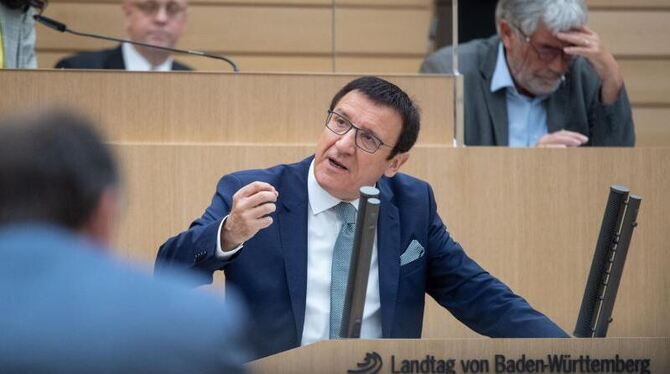 Wolfgang Reinhart redet in einer Plenarsitzung im Landtag
