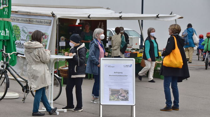 Kundenbefragung auf dem Mössinger Wochenmarkt. Projektleiterin Maren Risel (links) im Gespräch mit einer Besucherin.  FOTO: MEYE