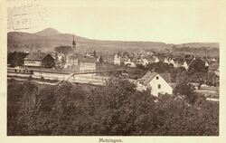 Blick vom Weinberg auf Metzingen um 1920.  FOTO: STADTARCHIV