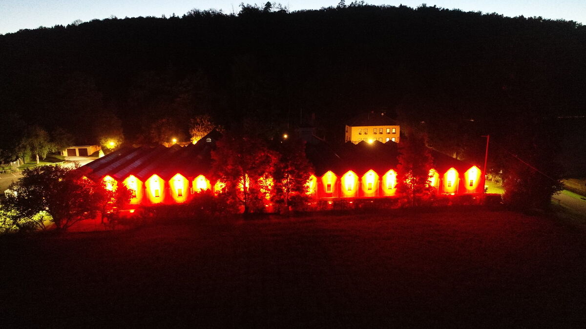 Alte Weberei Mittelstadt (3)