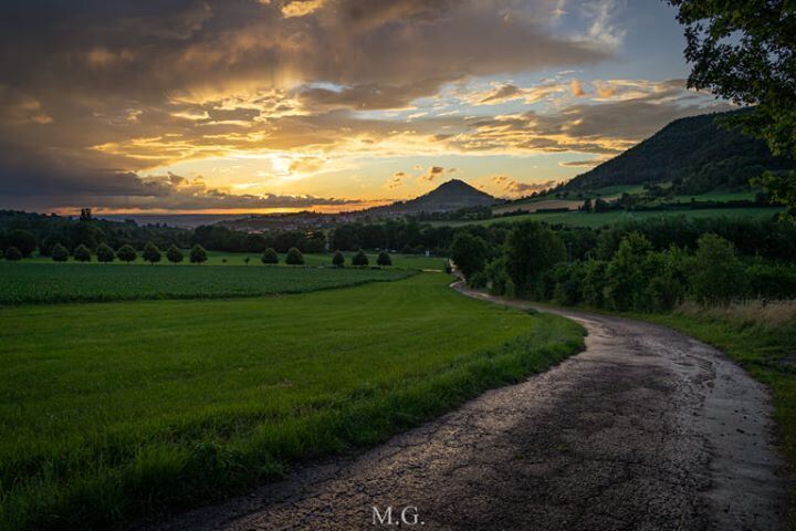 FR FB Marisa Blackcat