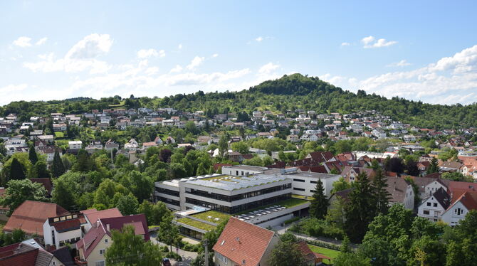 Die beiden Flachdächer des Ursprungsbaus der Wilhelm-Hauff-Realschule (Mitte, mit Fotovoltaikanlage) sind undicht. FOTO: SCHÖBEL
