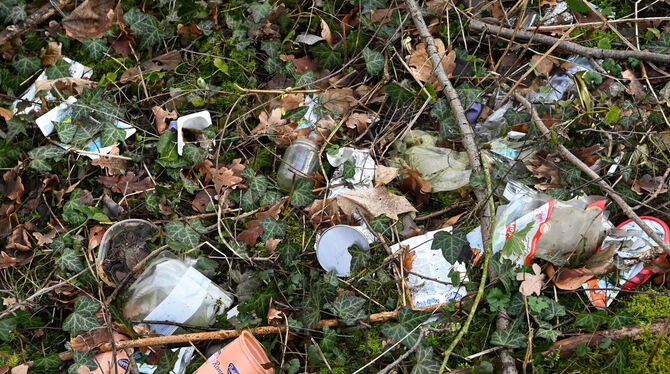 Illegal entsorgter Müll beschäftigt Straßenmeisterei und Bauhof.  SYMBOLFOTO: DPA