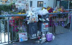 Müll Tübingen Neckarbrücke