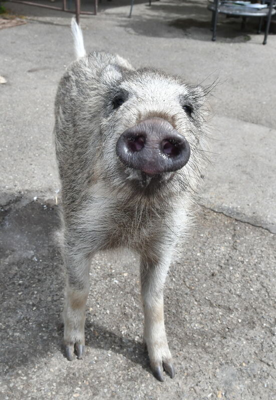 Auf Kameratuchfühlung FOTO MEYER3529