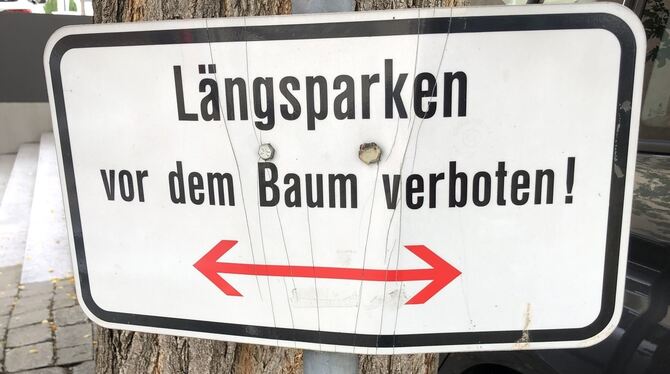 Genau genommen.  FOTO: RITTGEROTH