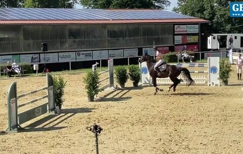 Was die Corona-Pandemie im Reit-Sport verändert hat