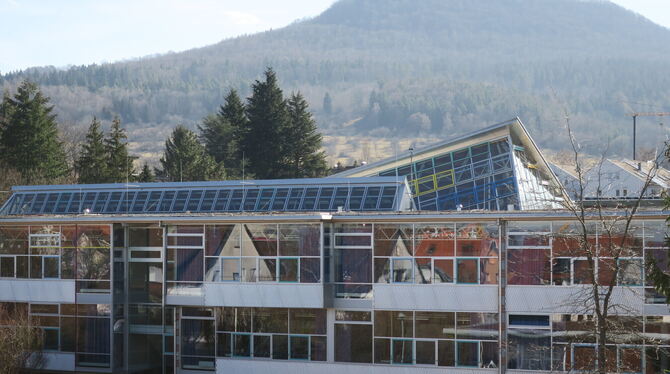 Für die Dachsanierung des Quenstedt-Gymnasiums will die Stadt Mössungen im nächsten Jahr 1,3 Millionen Euro ausgeben.  FOTO: MER