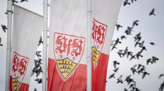 Flaggen mit dem Logo des VfB Stuttgart