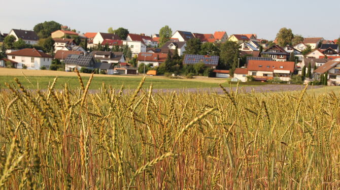 Platz für Entwicklung sehen Gemeinde- und Ortschaftsrat am südwestlichen Rand von Steinhilben.  FOTO: DEWALD
