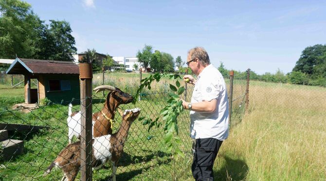 Jugendreferent Michael Fröhlich füttert die Ziegen auf der Jugendfarm.  FOTO: HEIDRICH