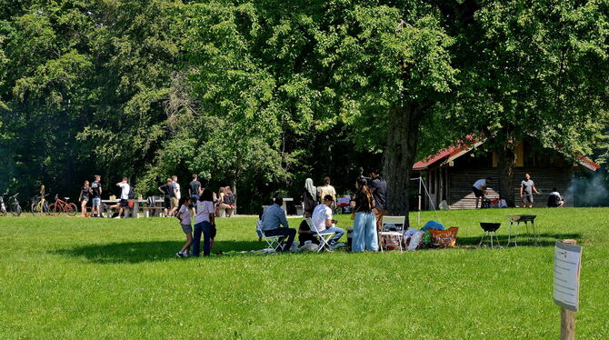 Das Schwanholz-Gelände in Nehren ist ein beliebter Treffpunkt für Gruppen, Cliquen und Familien. Wer in Zukunft auf die weiträum