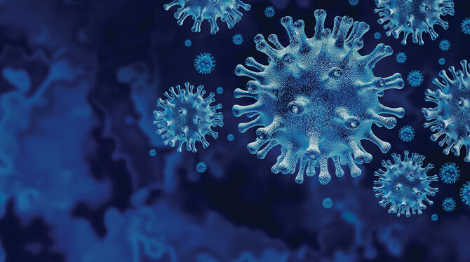 Das Coronavirus.