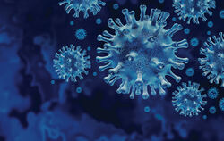 Das Coronavirus.
