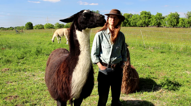 Für Ulrike Schaich sind Lamas Gefährten. Ihre Liebe zu den Tieren entdeckte sie 1976 auf der Farm ihrer Tante in Ecuador. FOTOS: