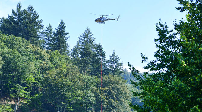 Mit einem Hubschrauber werden im kommenden Herbst Bäume aus der Honauer Steige abtransportiert.   FOTO: DPA
