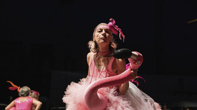 Frauen in fortgeschrittenem Alter holen sich in Flamingokostümen ihren Teil am Nachtleben zurück: Die Gruppe Belles de Nuit am E