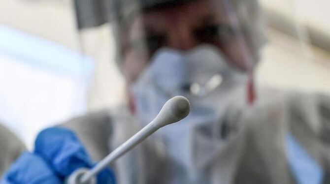 Ein Abstrichstäbchen wird in die Kamera gehalten