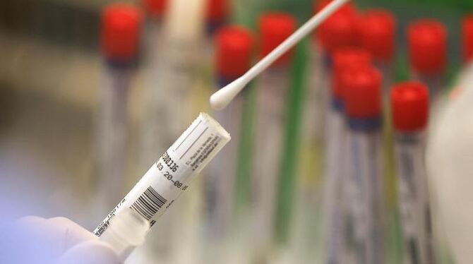 Corona-Tests in einem Labor Corona-Tests in einem Labor