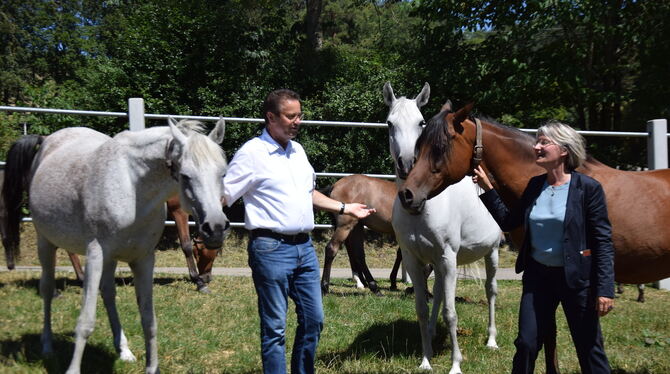 Landwirtschaftsminister Peter Hauk und Gestütsleiterin Astrid von Velsen-Zerweck bei den Araberstuten. FOTO: WURSTER