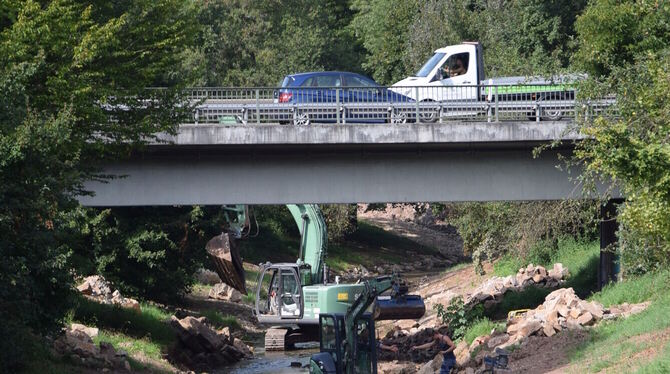 Renaturierungsarbeiten bei der Ammer in Lustnau. In früheren Zeiten war das Ammertal ein Feuchtgebiet. Seit der Mittelsteinzeit