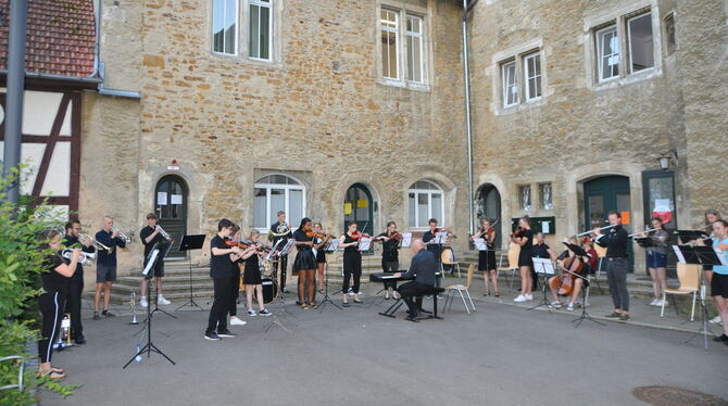 Bläser, Streicher und Flötisten  überzeugten im Hof des Alten Schlosses mit einem harmonischen Zusammenspiel. FOTO: BIMEK