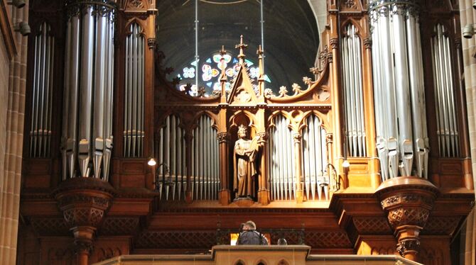 Ein besonderes Instrument: Torsten Wille an der Orgel der Marienkirche.  FOTO: VARADY