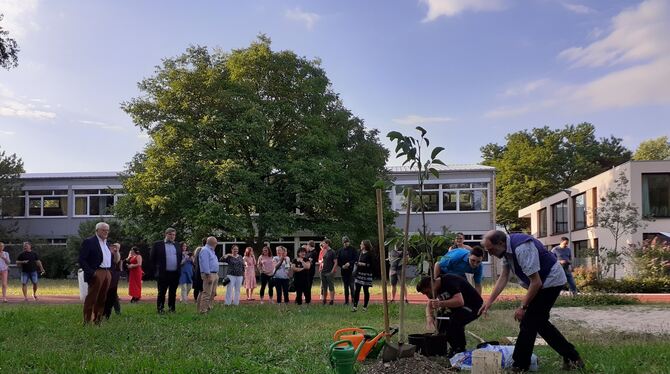Abschied: Schüler des letzten Jahrgangs der Haupt- und Werkrealschule in Neuhausen pflanzen einen Walnussbaum. Künftig ist die U