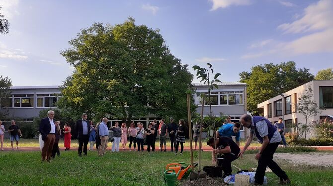 Abschied: Schüler des letzten Jahrgangs der Haupt- und Werkrealschule in Neuhausen pflanzen einen Walnussbaum. Künftig ist die U Abschied: Schüler des letzten Jahrgangs der Haupt- und Werkrealschule in Neuhausen pflanzen einen Walnussbaum. Künftig ist die U
