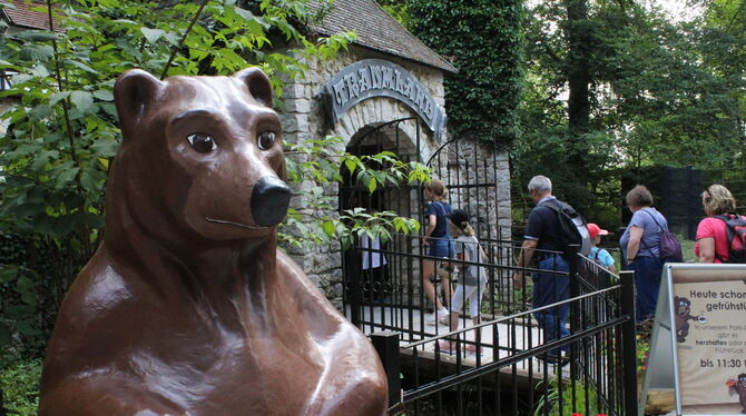 Das Traumland ist beliebt. Derzeit dürfen nicht so viele Besucher wie vor der Pandemie aufs Gelände. Die Betreiber wollen den Pa