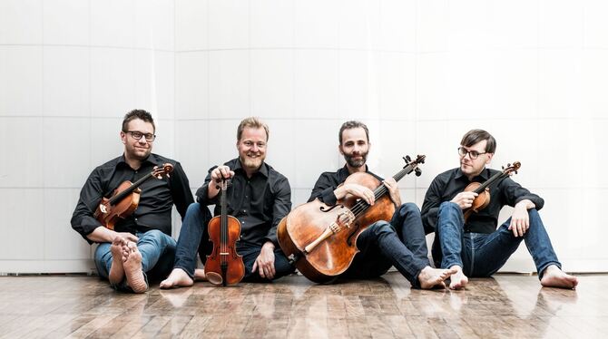Das Zemlinsky Quartett. FOTOS: VIELKLANG