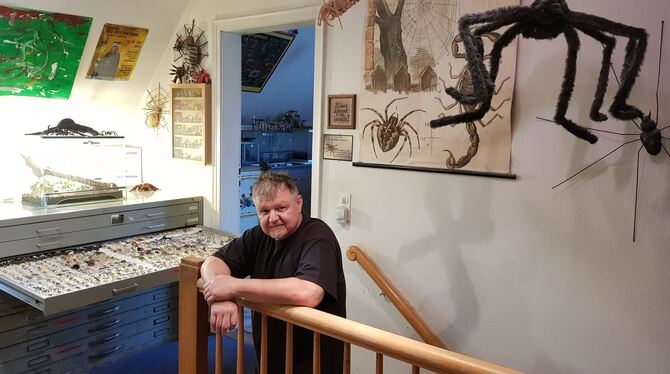 Thomas Floten ist Spinnenexperte. Er sammelt alles, was mit Spinnen zu tun hat. Sein Traum: ein eigenes Spinnenmuseum. FOTO: KÜS