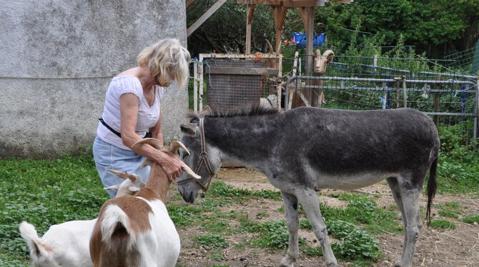 Ziegen und Eselin sind einige der Schützlinge von Susanne G., die ihren Namen und Wohnort nicht in der Zeitung lesen möchte. FOT