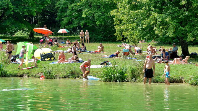 Der Gönninger Seen sind keine Badegewässer: Das Schwimmen wird aber toleriert.  FOTO: NIETHAMMER