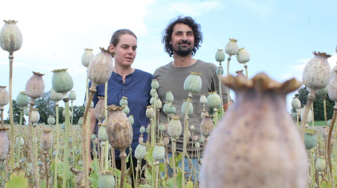 Verena Baltrusch und Bernd Dietrich aus Bernloch auf ihrem Mohnfeld an. In einigen Wochen sind die Kapseln reif und können geern