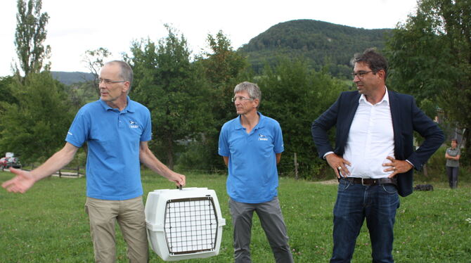 This bird has flown – Daniel Schmidt-Rothmund, NABU-Landesgeschäftsführer Uwe Prietzel und Andre Baumann (von links) schauen dem