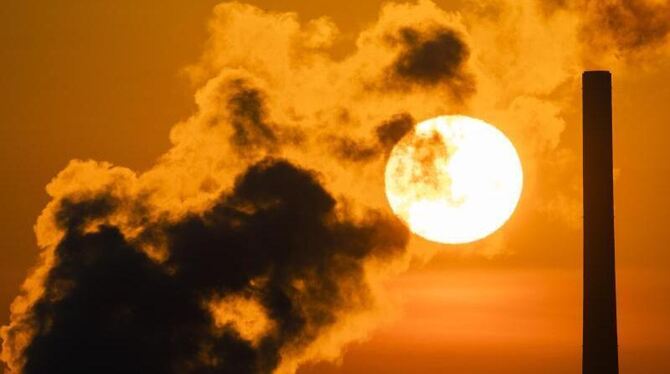 Corona-Pandemie verringert ökologische Schäden für dieses Jahr