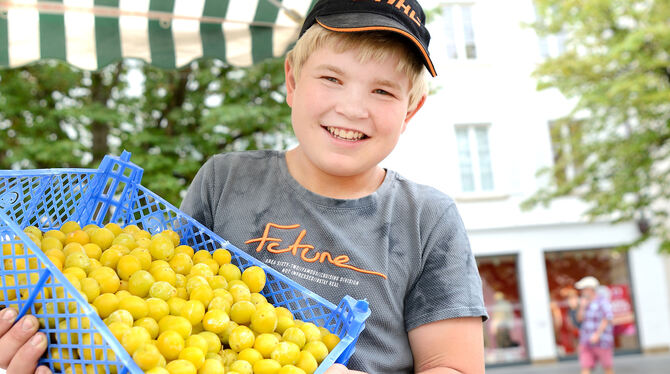 Noch Schüler und schon sehr verkaufstüchtig: Noah Leins bietet saisonales Obst und Gemüse, Eier, selbst gemachte Marmeladen, Gel