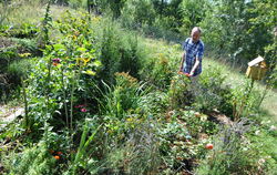 Uli Meier hat sich in Würtingen mit seinem Garten eine Wohlfühloase angelegt – und das, obwohl die Voraussetzungen denkbar schwi
