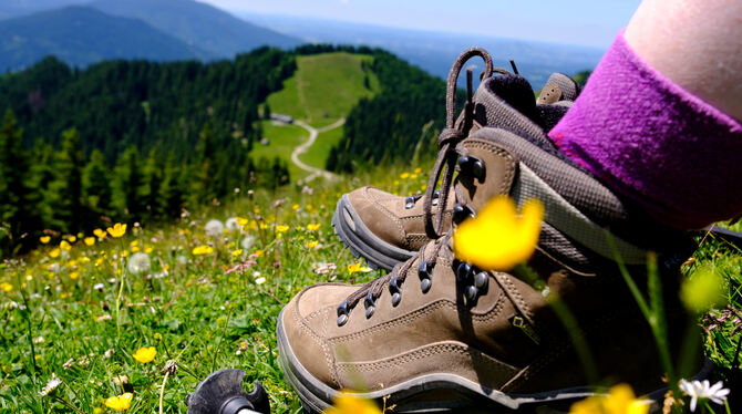 Wandern in Deutschland steht dieses Jahr hoch im Kurs.  FOTO: HOPPE/DPA