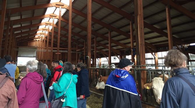 Wie sieht die Viehzucht in der Region aus? Teilnehmer einer Veranstaltung der Citykirche Reutlingen machten sich selbst ein Bild